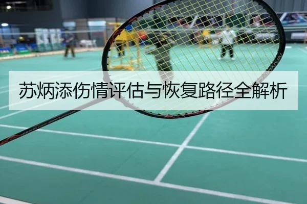 苏炳添伤情评估与恢复路径全解析